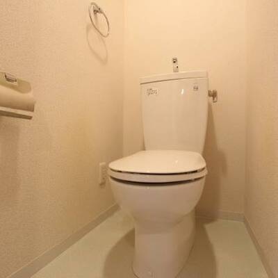 
						清潔感のある色合いです