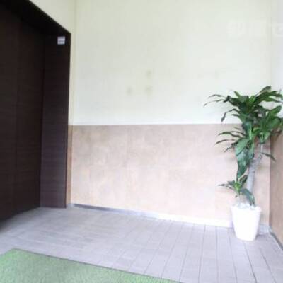 
						エレベーターホールには観葉植物あるのがいいですね