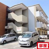 ルナールピナス