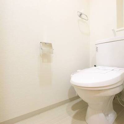 
						清潔感のある色合いです