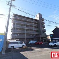 フィオーレ観月