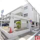 カーサソロチョウ