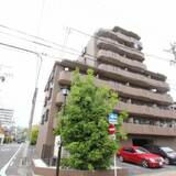 パラディーソ白壁