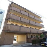 プラシード幸