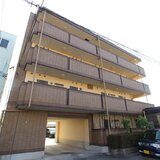 プラシード幸