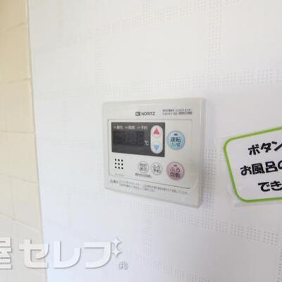 
						反対タイプの写真です。
