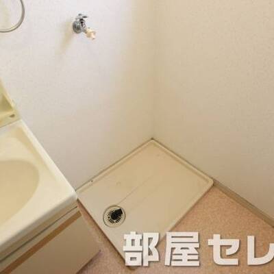 
						きれいな室内洗濯機置場です。