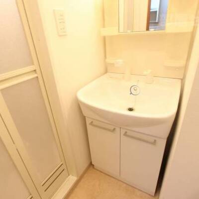 
						シャンプードレッサー付きです。