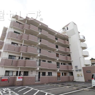 
						綺麗な外観です。
