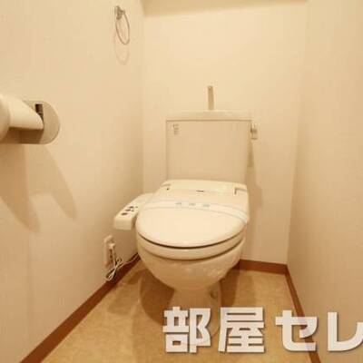 
						温水洗浄便座。他号室の写真です。