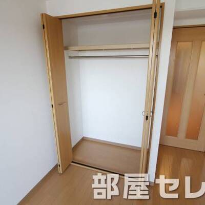 
						クローゼット。他号室の写真です。