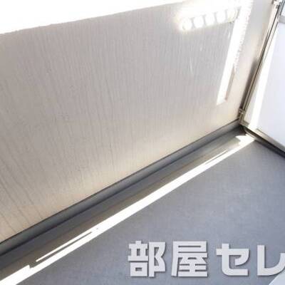 
						洗濯物が隠せれます。他号室の写真です。
