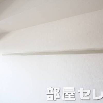
						ハンガー掛け。他号室の写真です。
