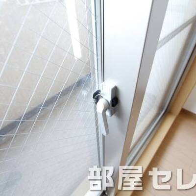 
						網ガラス。他号室の写真です。