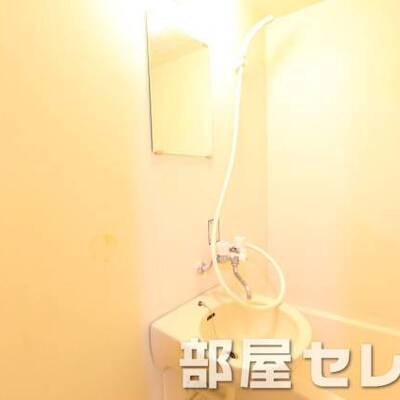 
						浴室の中にあるタイプの洗面台です。