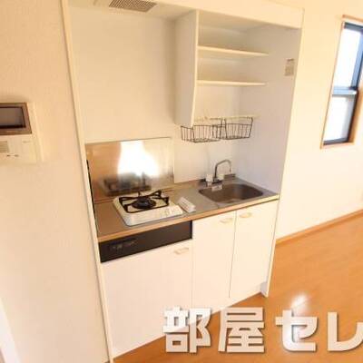 
						ガスシステムキッチンです。他号室の写真です。