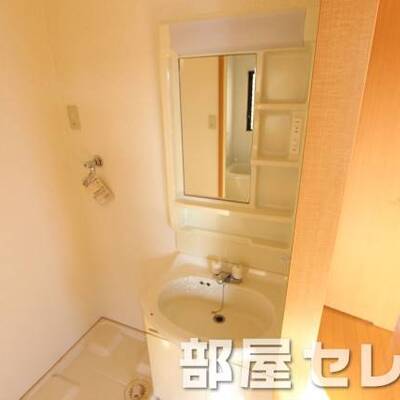
						独立洗面台です。他号室の写真です。