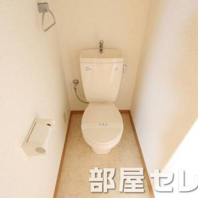 
						きれいなトイレです。他号室の写真です。