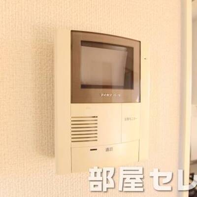 
						安心TVモニターホンです。他号室の写真です。