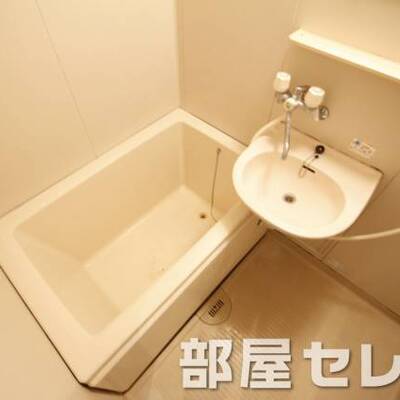 
						洗面付きのお風呂場です。