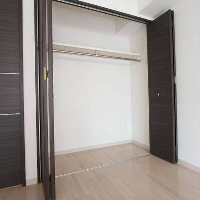 
						クローゼットタイプの収納です。
