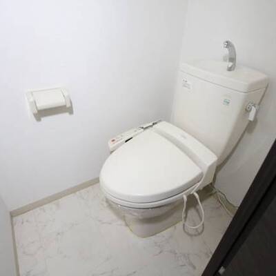 
						温水洗浄便座付きのお手洗いです。