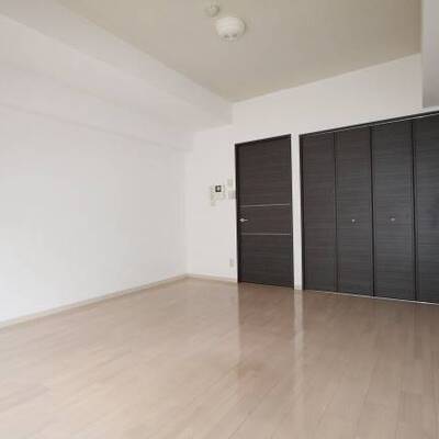 
						アクセントの効いた建具がオシャレなお部屋です。