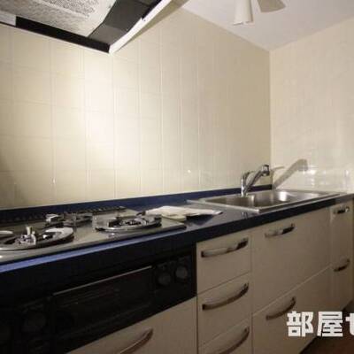 
						キッチンも広いですね