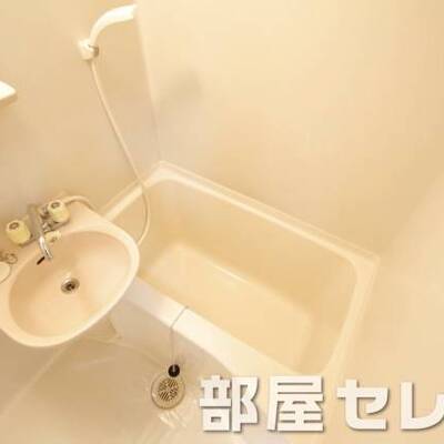 
						他号室の写真になります。