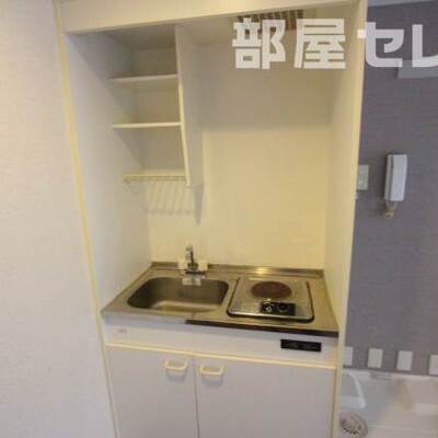 
						反転タイプの写真です