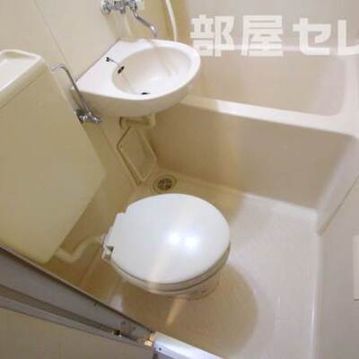 
						反転タイプの写真です