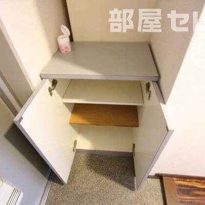 
						反転タイプの写真です