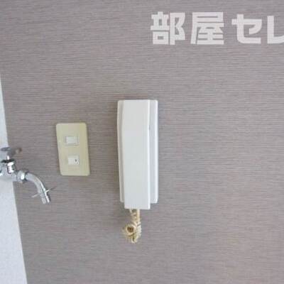 
						反転タイプの写真です
