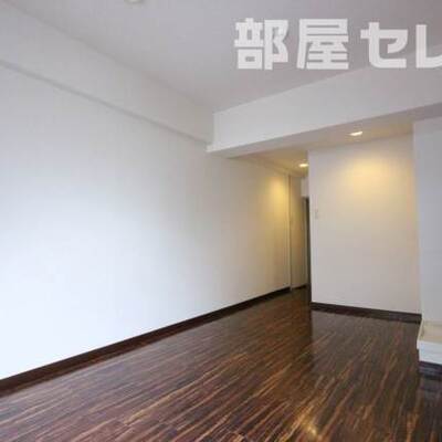 
						反転タイプの写真です